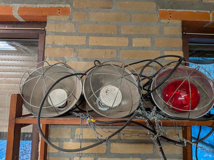 Warmtelamp 3 stuks, Dieren en Toebehoren, Honden-accessoires, Gebruikt, Ophalen