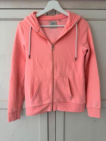 Roze C&A Clockhouse dames vest met capuchon maat XS beschikbaar voor biedingen