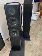Dali Evidence 470 zwart - defect, Audio, Tv en Foto, Luidsprekers, Gebruikt, 120 watt of meer, Front, Rear of Stereo speakers
