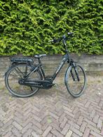 Pegasus E-Bike Bosch Motor, Gebruikt, 51 tot 55 cm, 50 km per accu of meer, Ophalen
