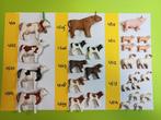 Playmobil Dieren 4501-4514 Koe Kalf Varken Big Schaap Lam, Verzenden, Gebruikt, Los playmobil