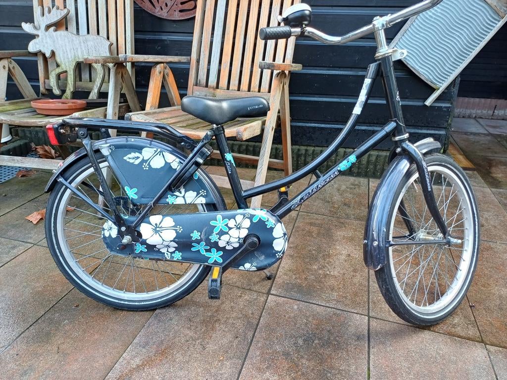 Leuke meisjesfiets 20 inch, Minder dan 47 cm, Ophalen, Gebruikt, Overige merken