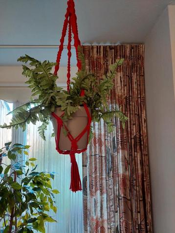 Macramé plantenhanger met kunstplant beschikbaar voor biedingen