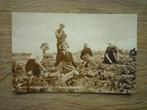 Friesland aardappels rooien Fryslan Ierappelsykje, Ophalen of Verzenden, Voor 1920, Friesland