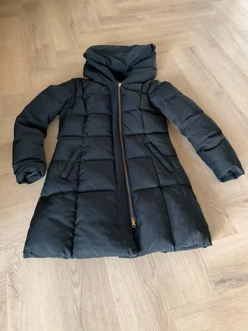 HALLHUBER DONSJAS ZWART **nieuw** ML van 325,00 nu 60,00 beschikbaar voor biedingen