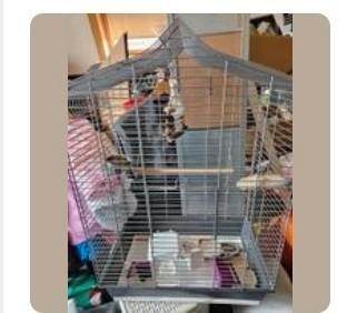 vogelkooi bijna nieuw, Dieren en Toebehoren, Vogels | Hokken en Kooien, Zo goed als nieuw, Vogelkooi, Metaal, Ophalen