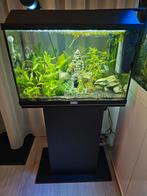 Juwel Primo 70 liter aquarium met Sumatranen, Dieren en Toebehoren, Vissen | Aquaria en Toebehoren, Zo goed als nieuw, Ophalen