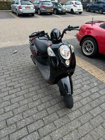 nette Sym Mio beschikbaar voor biedingen