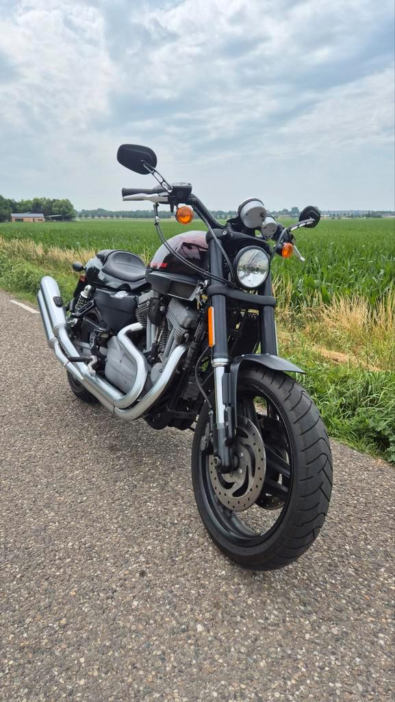 Harley-Davidson XR1200 Sportster - Weinig KM!, Motoren, Motoren | Harley-Davidson, Particulier, Naked bike, meer dan 35 kW, 2 cilinders