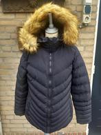 Cars, dames winterjas, maat M, donkerblauw, afneembare muts, Maat 38/40 (M), Blauw, Ophalen of Verzenden, Zo goed als nieuw