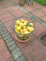 Kweeperen uit eigen tuin €1,00/kilo, Diversen, Ophalen
