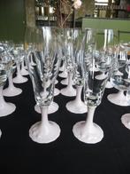 HUTSCHENREUTHER DRACHE KRISTAL CHAMPAGNE FLUTE;S, Ophalen, Overige materialen, Zo goed als nieuw, Overige stijlen