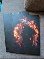 Displate van The Last Of Us, Verzamelen, Ophalen of Verzenden, Zo goed als nieuw, Film en Tv