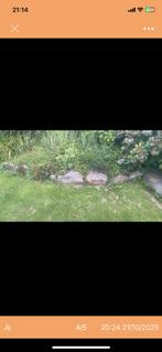 Bentheimer stenen, Ophalen, Overige materialen, Gebruikt, Minder dan 100 cm