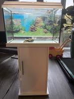 Compleet Juwel aquarium inclusief kast en veel toebehoren, Dieren en Toebehoren, Vissen | Aquaria en Toebehoren, Ophalen, Gebruikt