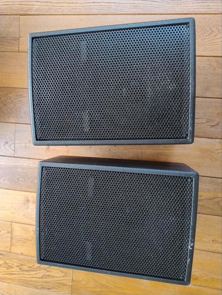 2 mooie Dynacord CP12-2 boxen met flench - wedge - als nieuw, Muziek en Instrumenten, Versterkers | Keyboard, Monitor en PA, Zo goed als nieuw