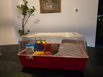 Hamsterkooi met toebehoren en speeltjes beschikbaar voor biedingen