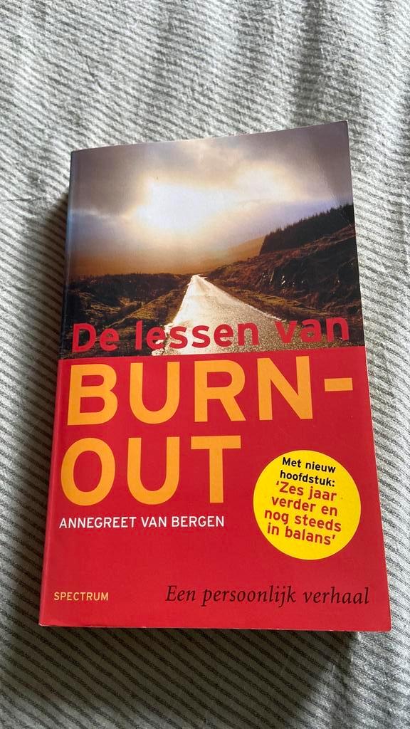 A. van Bergen - De lessen van burn-out, Boeken, Psychologie, Zo goed als nieuw, Ophalen of Verzenden
