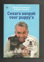 Cesars aanpak voor puppy's - Cesar Millan, Ophalen of Verzenden, Nieuw, Honden