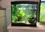 Superfish Aquarium 25 Liter, Dieren en Toebehoren, Vissen | Aquaria en Toebehoren, Ophalen, Zo goed als nieuw, Leeg aquarium