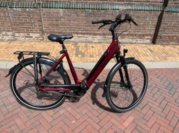 Bikkel Tuba S Dames Rood 56cm beschikbaar voor biedingen