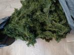 Kerstboom, Ophalen, Zo goed als nieuw