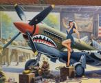 Curtiss P-40 Warhawk Pinup metalen WW2 Wandbord, Ophalen of Verzenden, Nederland, Foto of Poster