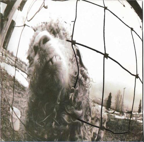 Pearl jam – VS CD epc 474549 2 label: epic – epc 474549 2, e, Cd's en Dvd's, Cd's | Rock, Zo goed als nieuw, Alternative, Verzenden