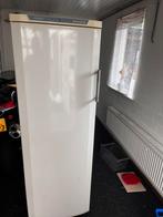 GRATIS Exquisit vrieskast. Oud ijzer?, Witgoed en Apparatuur, Gebruikt, Minder dan 60 cm, 160 cm of meer, Vrijstaand