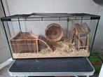 Een prachtige glazen bak voor knaagdieren  met accesoires, Dieren en Toebehoren, Kooi, Gebruikt, Hamster, 75 tot 110 cm