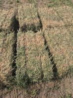 luzerne hooi in kleine pakjes of Midibalen > stro, vlas., Ophalen