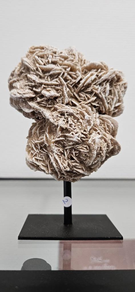 Woestijnroos op standaard 2, Verzamelen, Mineralen en Fossielen, Mineraal, Ophalen of Verzenden