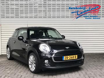 MINI 1.5 Cooper CHILI Rijklaarprijs! (bj 2017) beschikbaar voor biedingen
