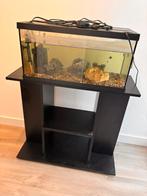 Aquarium + tafel + toebehoren, Dieren en Toebehoren, Vissen | Aquaria en Toebehoren, Ophalen, Zo goed als nieuw