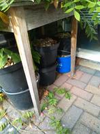 Kiezels, gratis af te halen, Tuin en Terras, Grind, Keien en Split, Ophalen