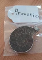 Ammoniet Hangers, Ophalen