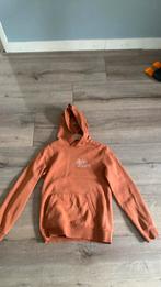 Bruine trui maat 134tm140, Ophalen of Verzenden, Zo goed als nieuw, Maat 34 (XS) of kleiner, Bruin