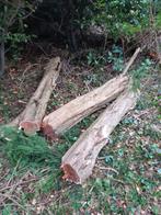 Taxus stammen 3,10m 1,70m 1,60m 1,60m ø20a30cm, Tuin en Terras, Haardhout, Minder dan 3 m³, Ophalen of Verzenden