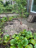 Gratis witzand, Tuin en Terras, Zand, Ophalen