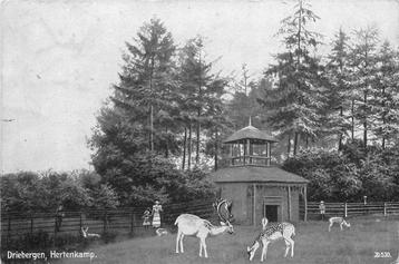 (388-349-019) Driebergen-Rijsenburg Hertenkamp beschikbaar voor biedingen