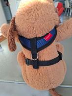 Hondentuigje z.g.a.n., maat S, Ophalen, Zo goed als nieuw, Hondenriem-accessoire