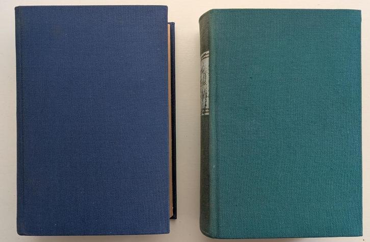 Grote Woordenboeken: Russisch - Nederlands & NL - Russisch, Boeken, Woordenboeken, Zo goed als nieuw, Russisch, Overige uitgevers