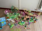 Playmobil magische feeën, Ophalen of Verzenden, Zo goed als nieuw, Complete set