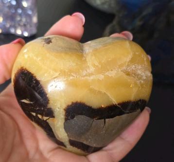 Septarie hart nr89 beschikbaar voor biedingen