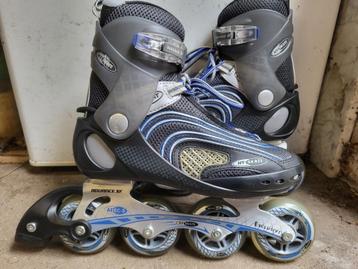 Hyskate Skeelers beschikbaar voor biedingen