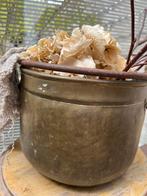 Oude koperen ketel met handvat, Ophalen of Verzenden