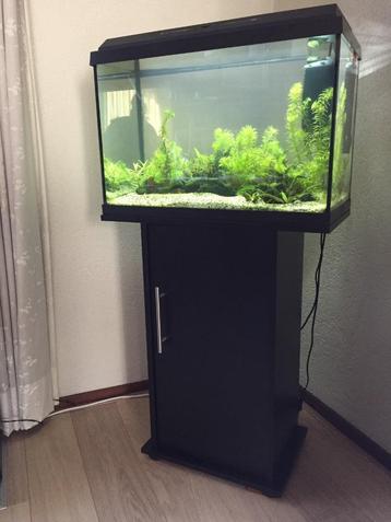 Aquarium JUWEL Primo 70 zwart led