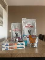 Nierdieet kattenvoer | renal | Royal Canin & Hills, Dieren en Toebehoren, Ophalen, Kat
