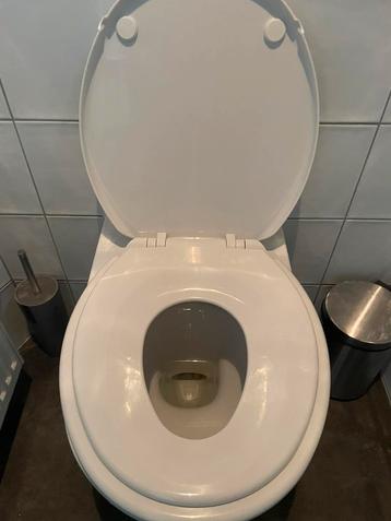 Wiesbaden Vesta Family toiletzitting softclose PP wit beschikbaar voor biedingen