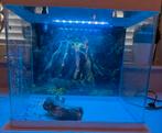 aquarium, Dieren en Toebehoren, Vissen | Aquaria en Toebehoren, Ophalen of Verzenden, Zo goed als nieuw, Leeg aquarium